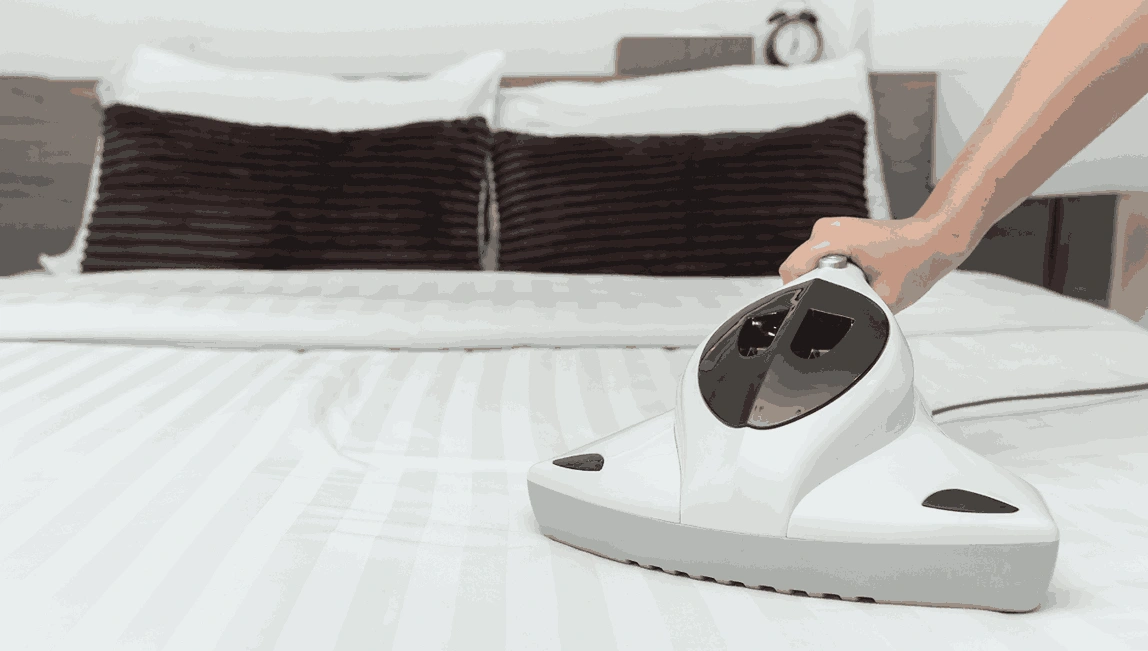 Professional Mattress Cleaning Watsonia